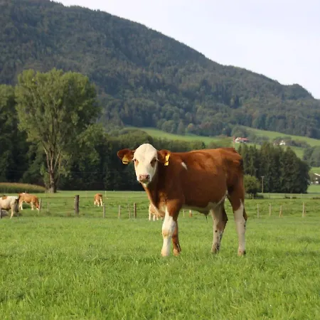 Horská chata Alpenzauber Mit Beheiztem Pool,